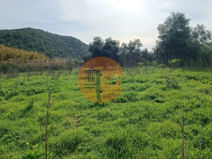 Image No.16-Plot for sale