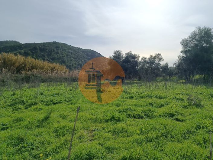 Image No.17-Plot for sale