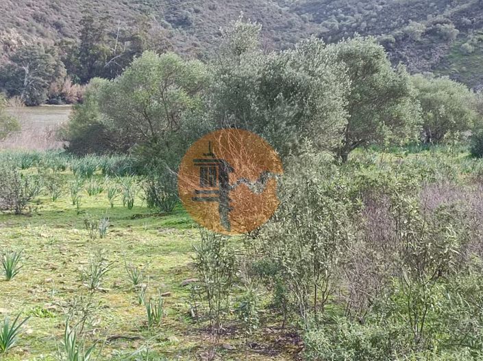 Image No.4-Plot for sale