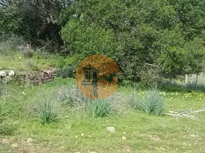 Image No.6-Plot for sale