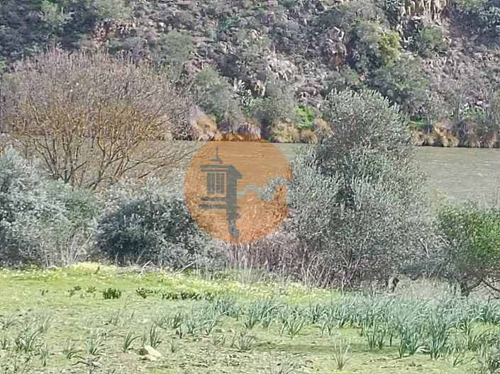 Image No.9-Plot for sale