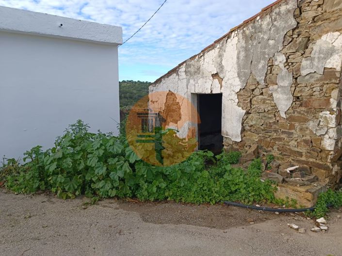 Image No.3-1 Bed House for sale