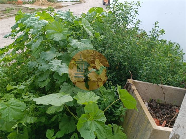 Image No.9-1 Bed House for sale