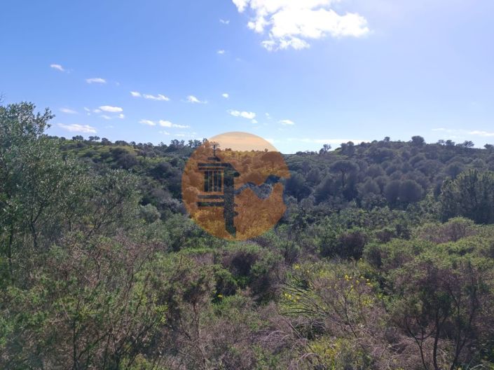 Image No.14-Plot for sale