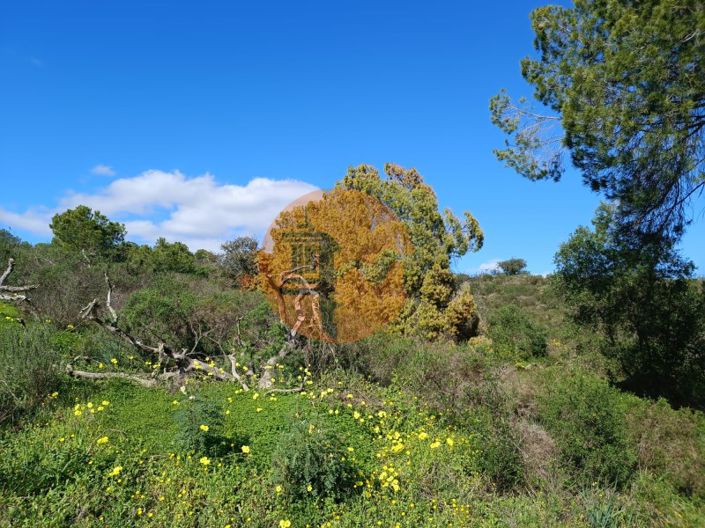 Image No.19-Plot for sale