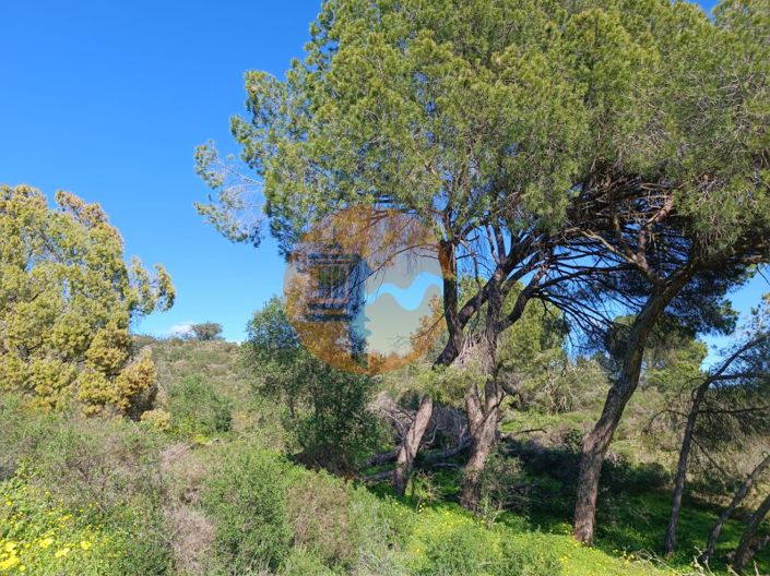 Image No.21-Plot for sale