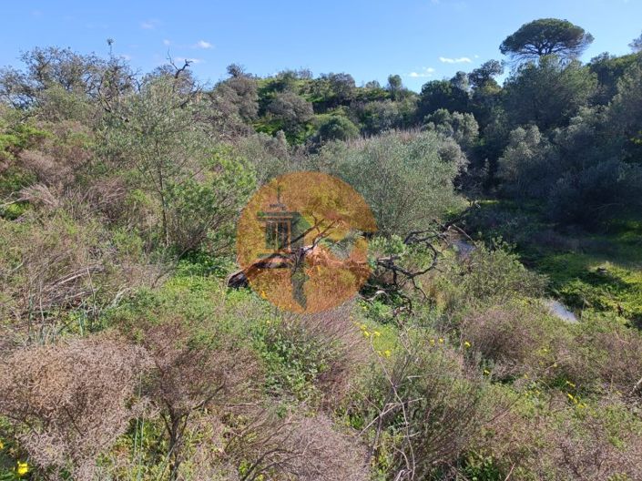 Image No.24-Plot for sale