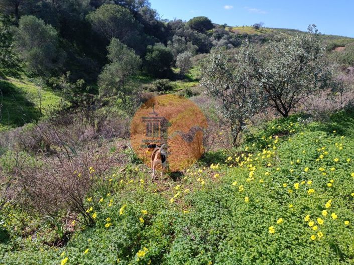 Image No.25-Plot for sale