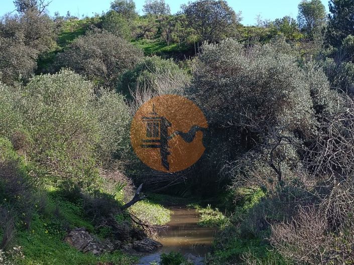 Image No.26-Plot for sale