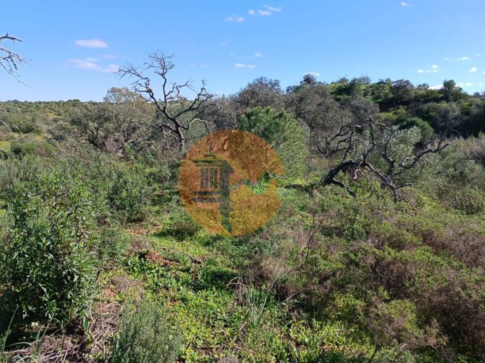 Image No.27-Plot for sale