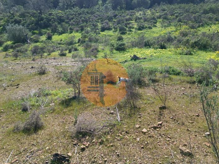 Image No.6-Plot for sale