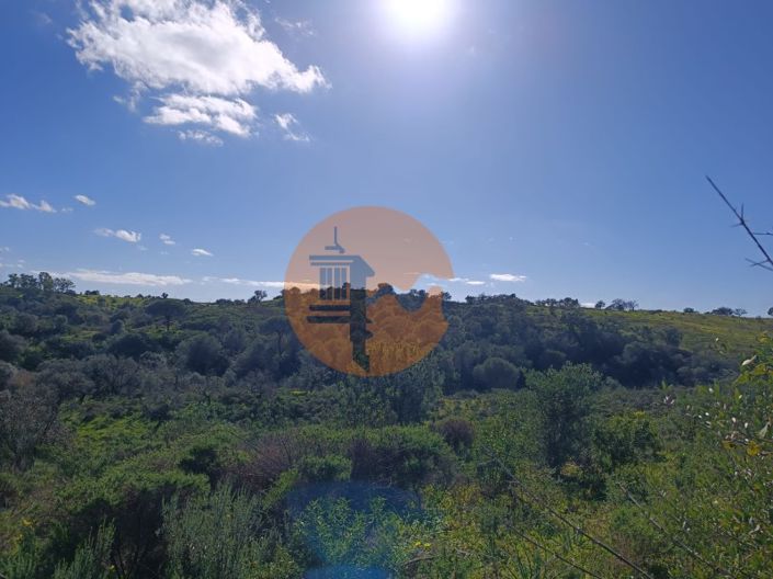 Image No.8-Plot for sale