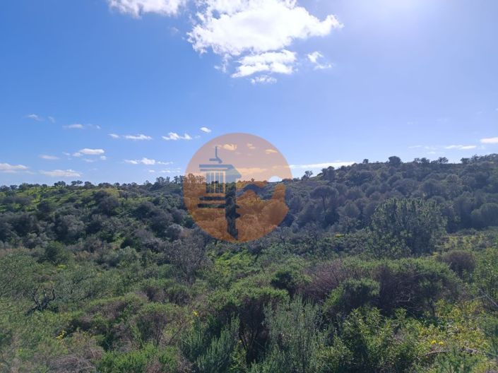 Image No.9-Plot for sale