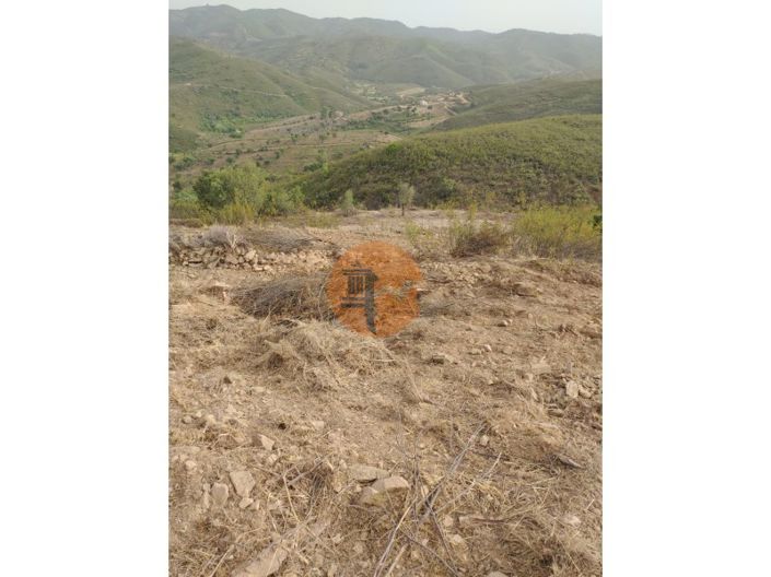 Image No.4-Plot for sale