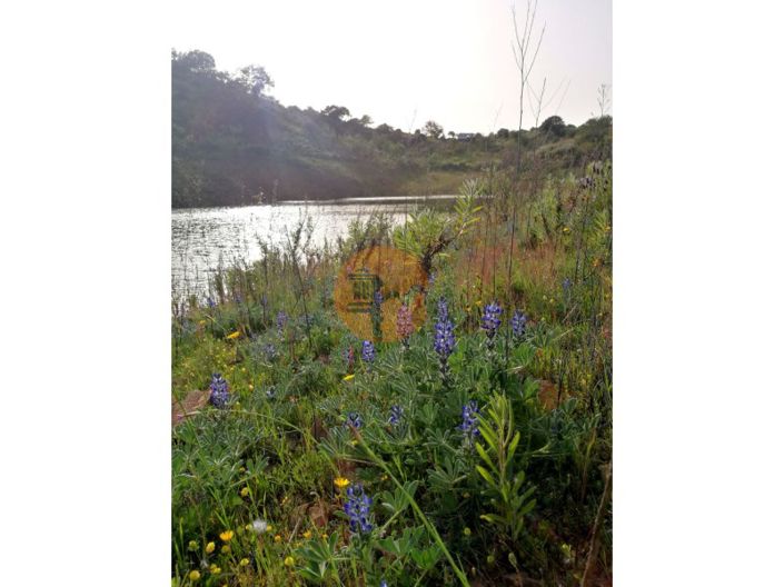 Image No.11-Plot for sale