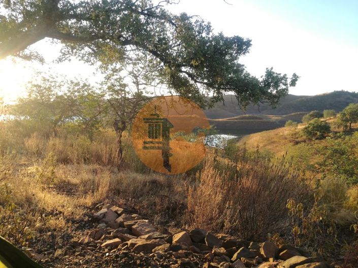 Image No.20-Plot for sale