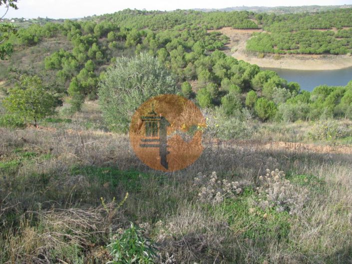 Image No.39-Plot for sale