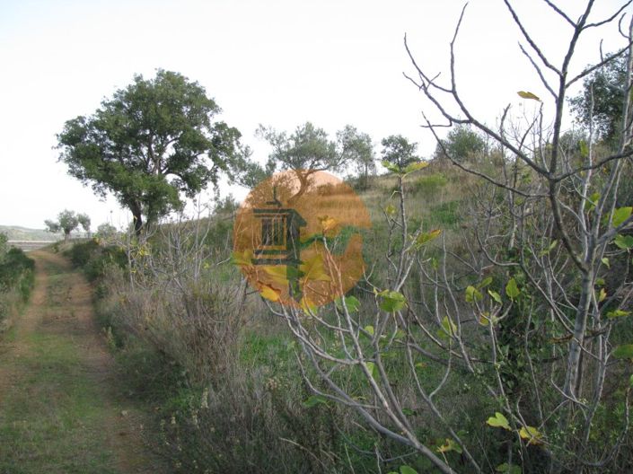 Image No.58-Plot for sale