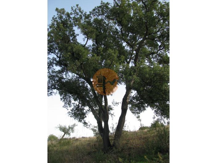 Image No.59-Plot for sale