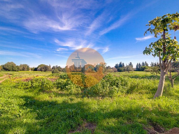 Image No.47-4 Bed House for sale