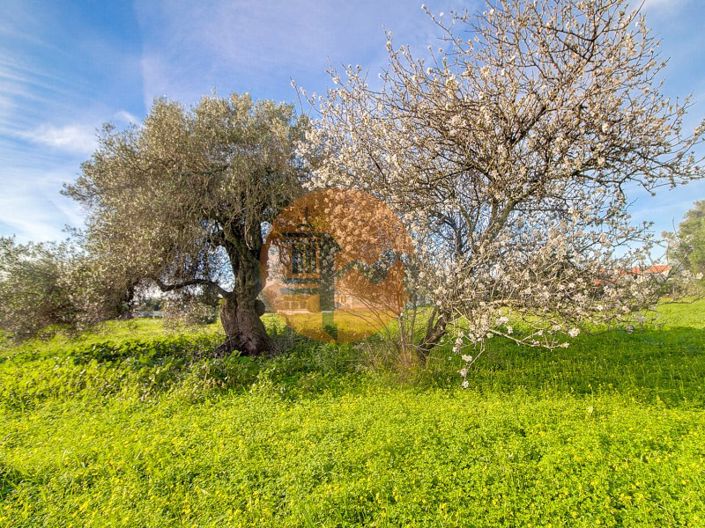 Image No.48-4 Bed House for sale