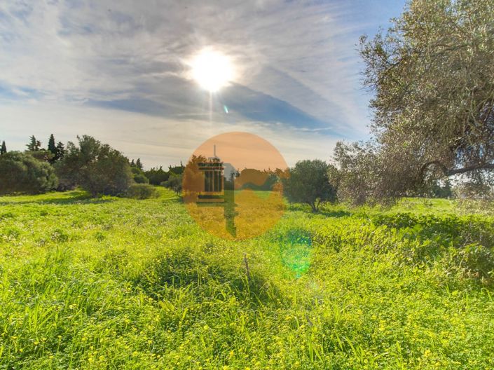 Image No.51-4 Bed House for sale