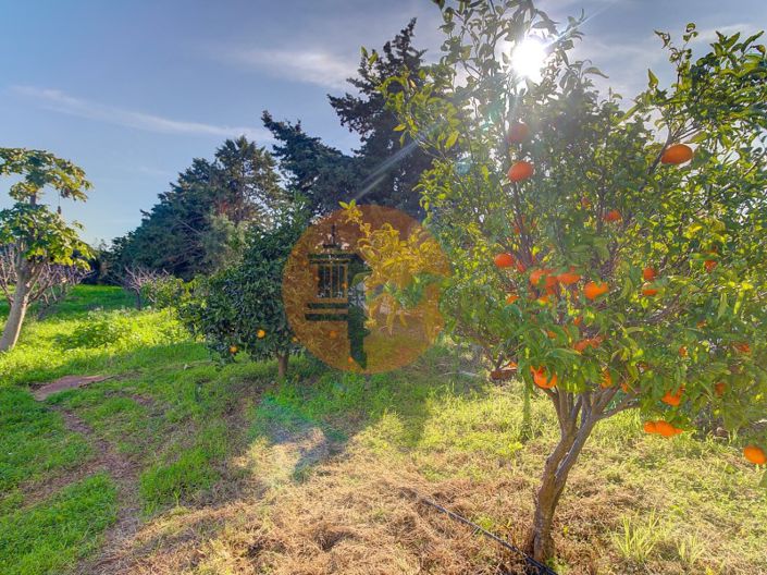 Image No.46-4 Bed Farmhouse for sale