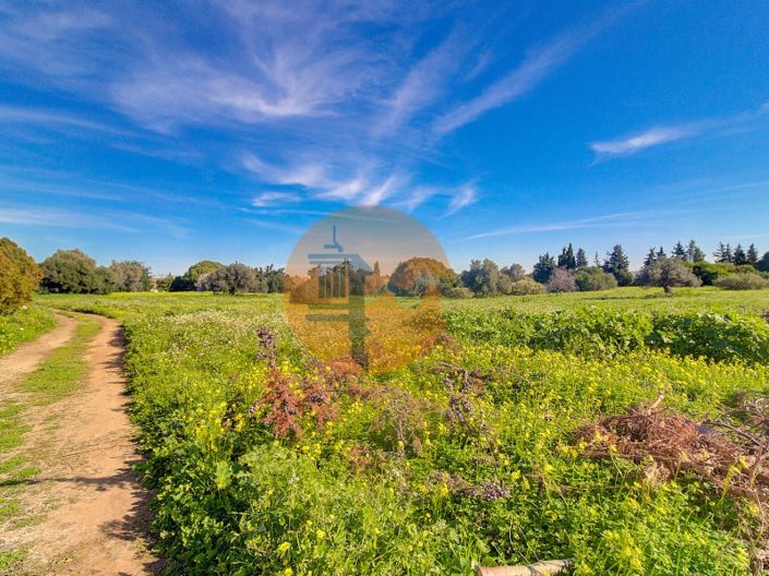 Image No.48-4 Bed Farmhouse for sale