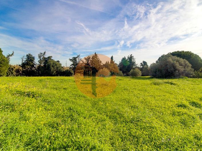 Image No.51-4 Bed Farmhouse for sale