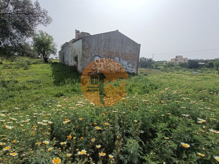 Image No.11-Plot for sale