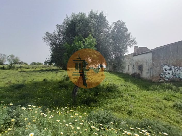 Image No.12-Plot for sale