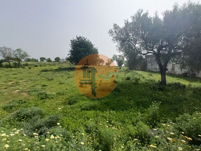 Image No.13-Plot for sale