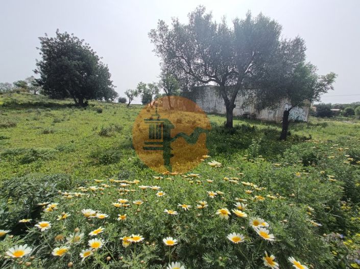 Image No.15-Plot for sale