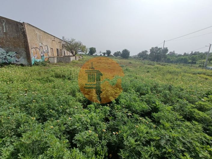 Image No.3-Plot for sale