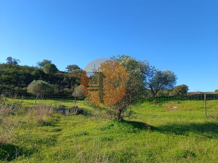 Image No.1-Plot for sale