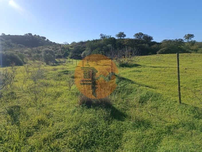 Image No.14-Plot for sale