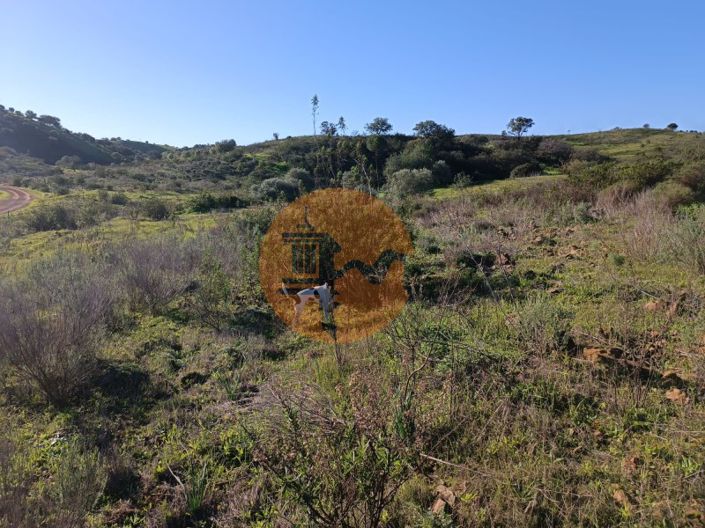 Image No.16-Plot for sale