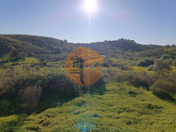 Image No.17-Plot for sale