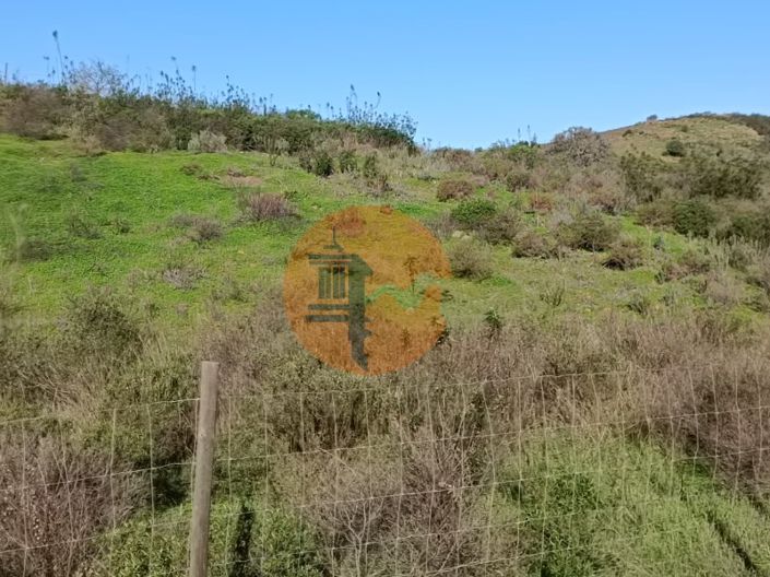 Image No.4-Plot for sale