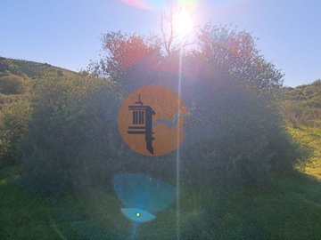 ida5f35901-0000-0500-0000-000012e80625