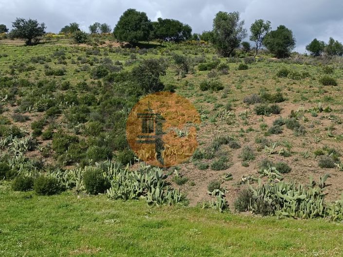 Image No.26-Plot for sale