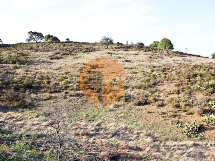 Image No.14-3 Bed House for sale