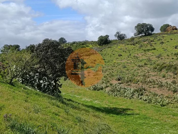 Image No.29-3 Bed House for sale