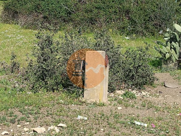 Image No.30-3 Bed House for sale