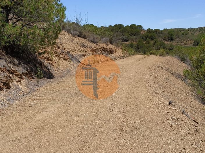 Image No.24-Plot for sale