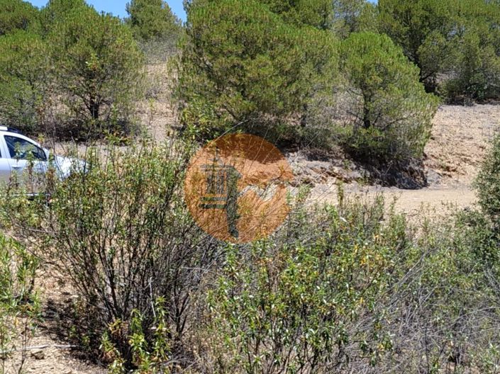 Image No.26-Plot for sale