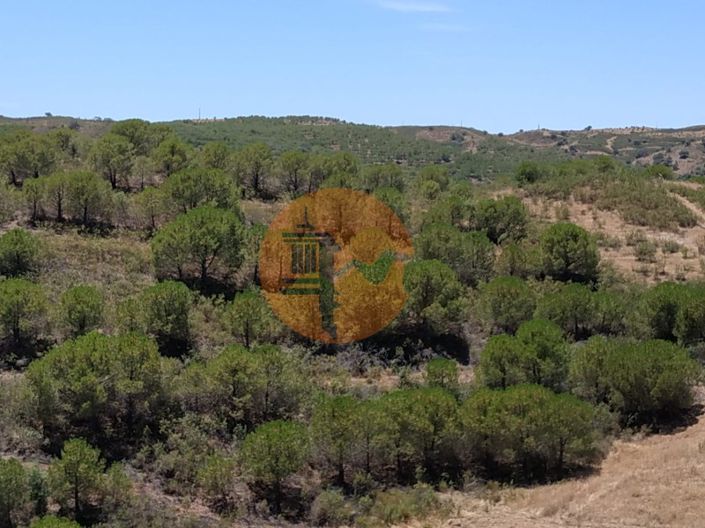 Image No.30-Plot for sale