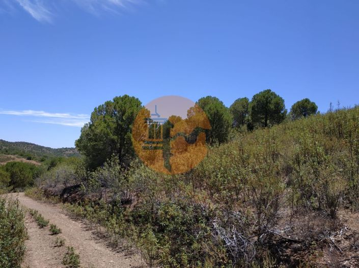 Image No.49-Plot for sale