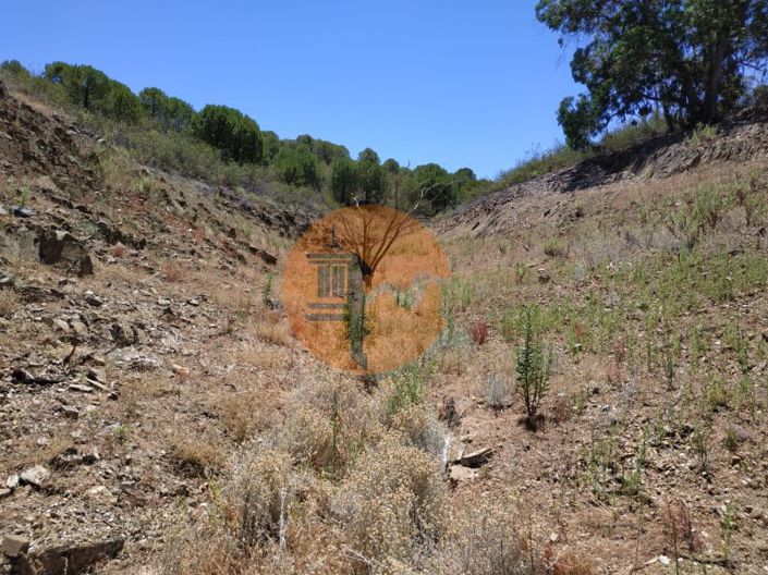 Image No.60-Plot for sale