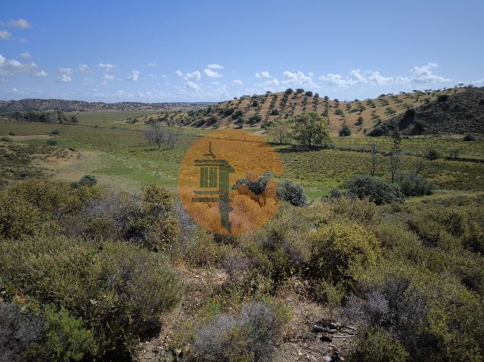 Image No.8-Plot for sale